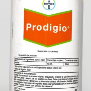 Prodigio