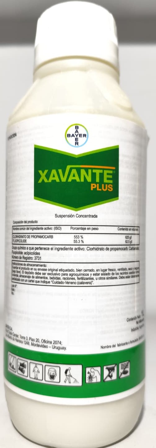 Xavante Plus