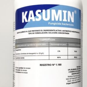 Kasumin