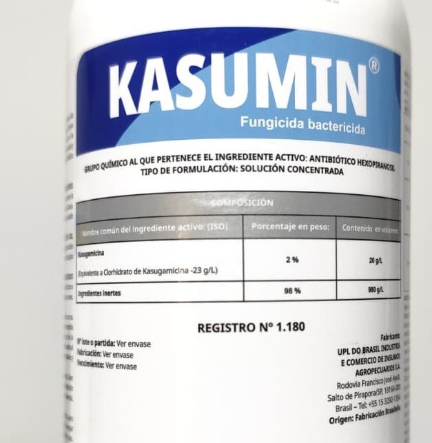 Kasumin