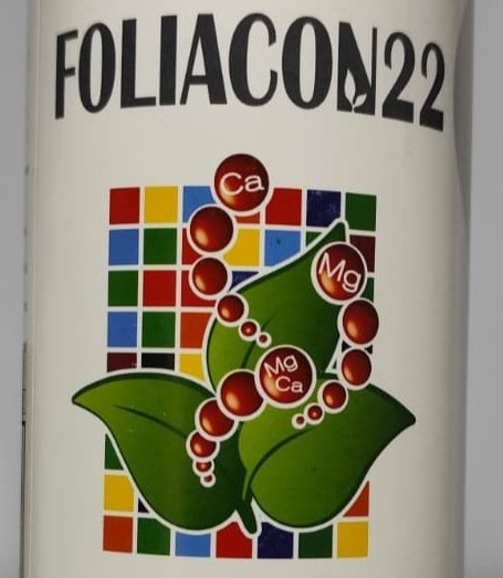 FOLIACON22