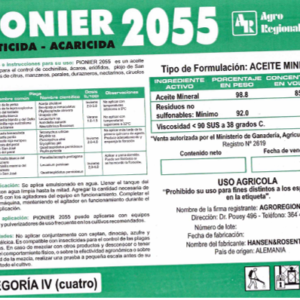 PIONIER 2055