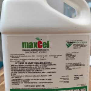 Maxcel