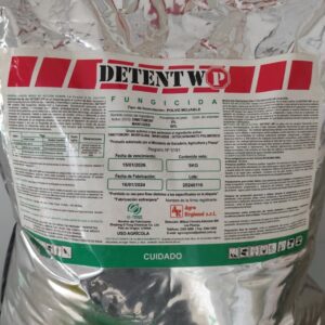 Detent