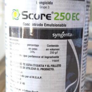 Score 250 EC