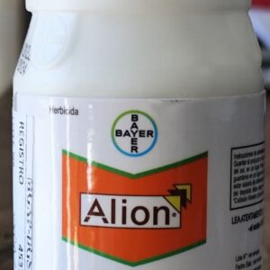 ALION