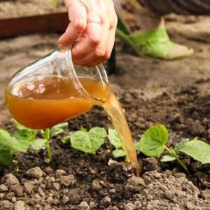 Fertilizantes Orgánicos