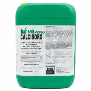 Calciboro