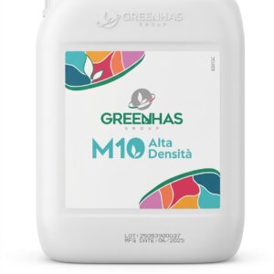 M10
