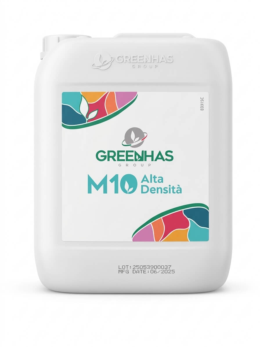 M10